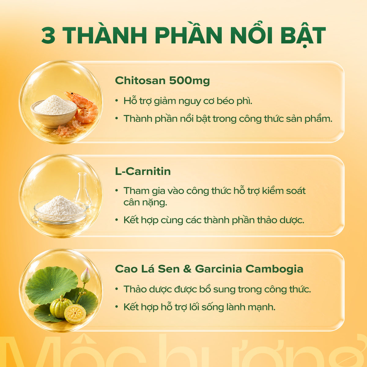 Chitosan 500 mg - hình 2