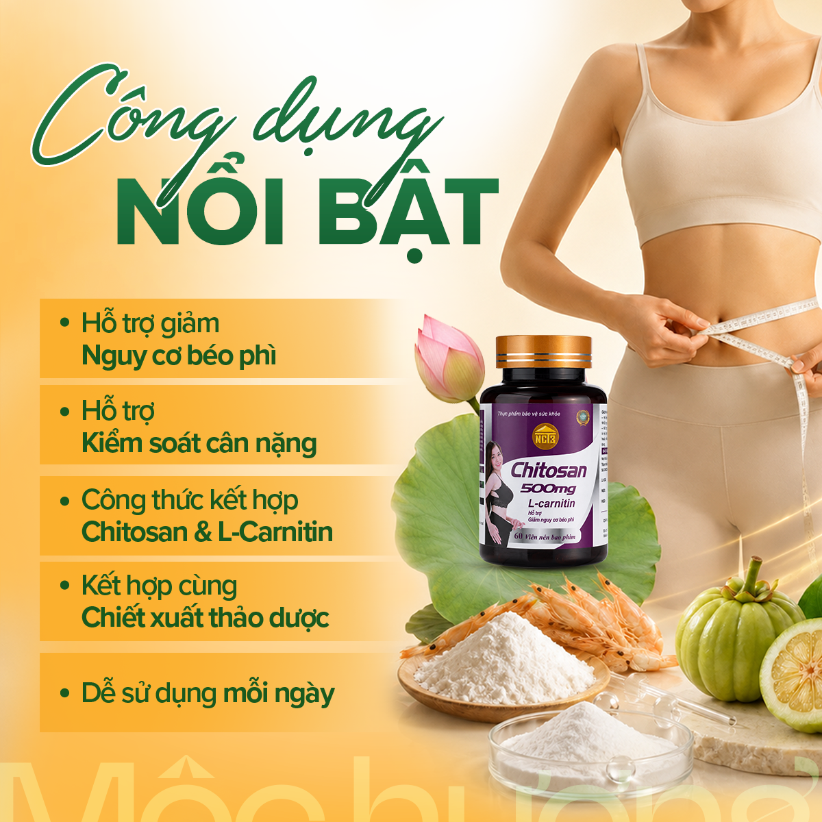 Chitosan 500 mg - hình 3