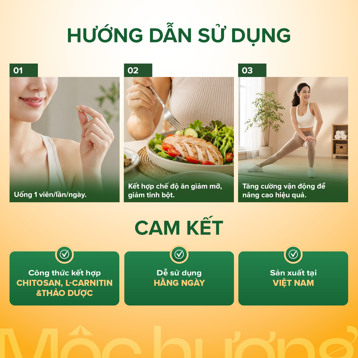 Chitosan 500 mg - hình 5