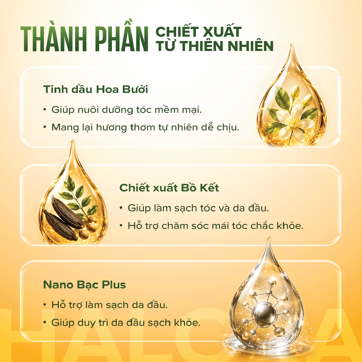 Dầu gội Bồ Kết Hoa Bưởi - hình 2