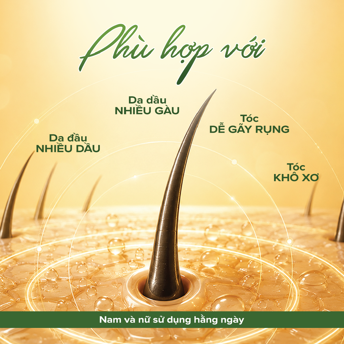 Dầu gội Bồ Kết Hoa Bưởi - hình 4