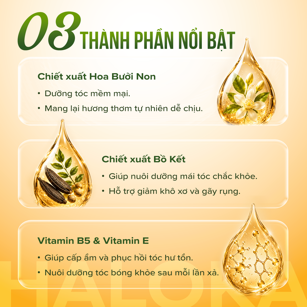 Dầu xả Bồ Kết Bưởi Non - hình 2