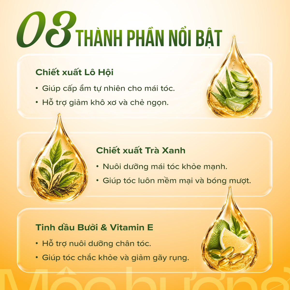 DUMIN Hair Oil - hình 2
