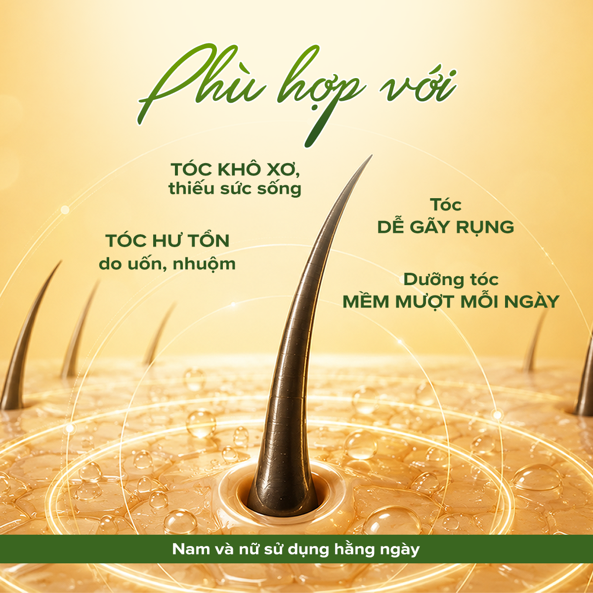 DUMIN Hair Oil - hình 4
