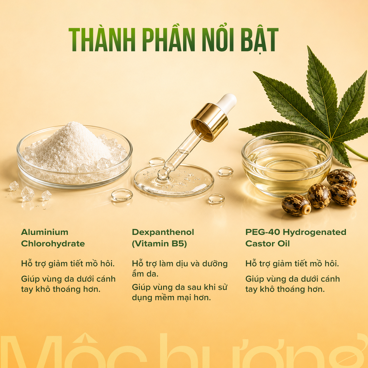 Xịt khử mùi hôi nách Mộc Long - hình 2
